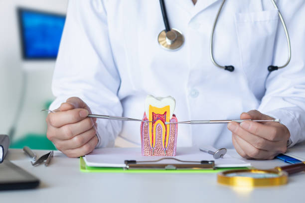 Best After-Hours Emergency Dentist in Mclendon Chisholm, TX